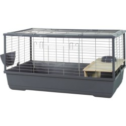 CAGE NLIFE CONN LAP/CD 100 GRI