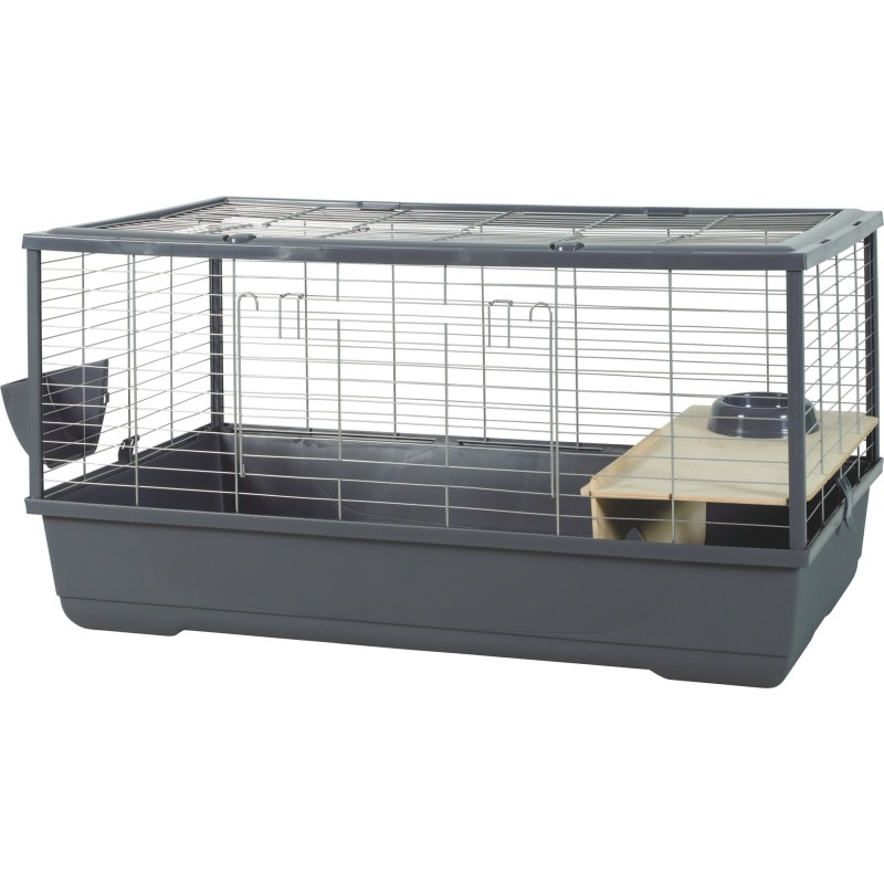 CAGE NLIFE CONN LAP/CD 100 GRI