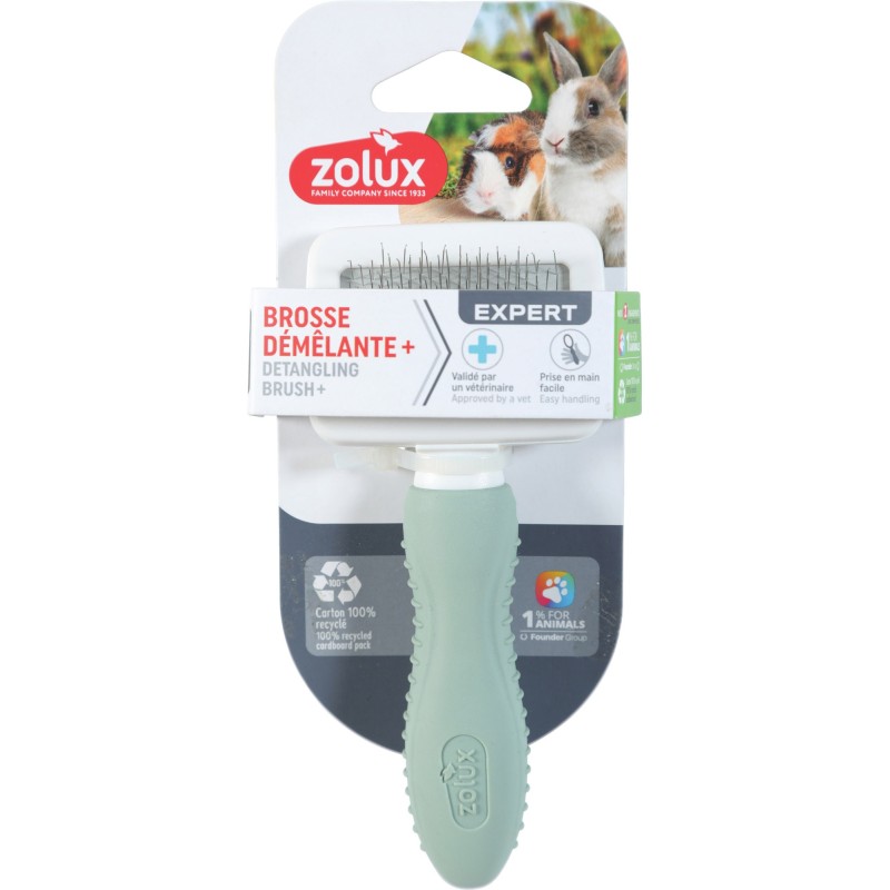 BROSSE CARDE RONGEUR