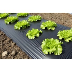 FILM DE PAILLAGE NOIR...