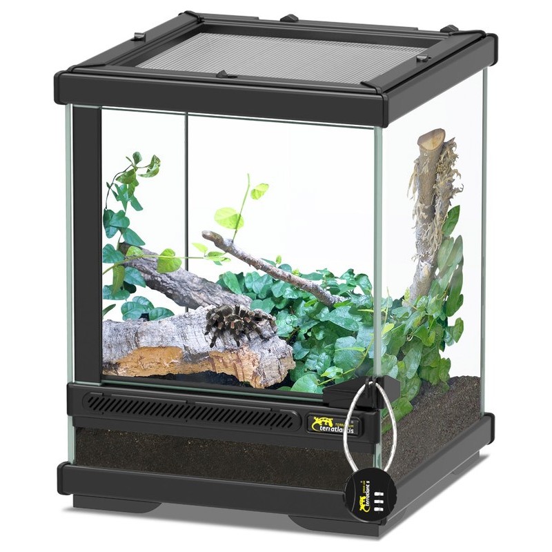 TERRARIUM SMART LINE NOIR 23x23x30cm**