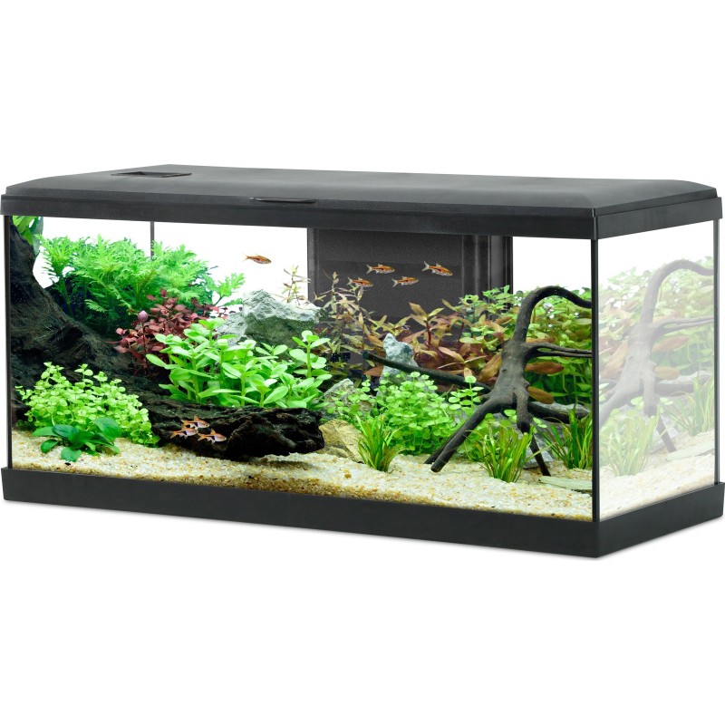 KIT AQUA TANA 80 NOIR