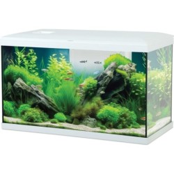 KIT AQUA TANA 60 BLANC