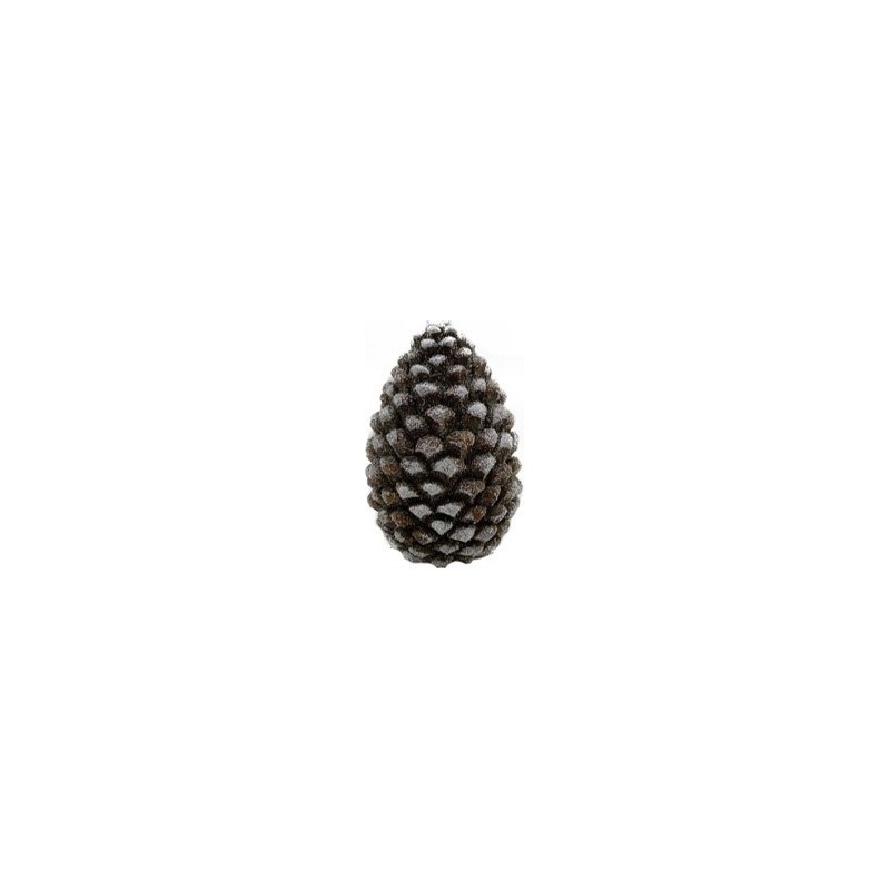 POMME DE PIN 10 X 9,8 X H14,5
