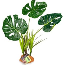 Plante 847 30X16X48CM