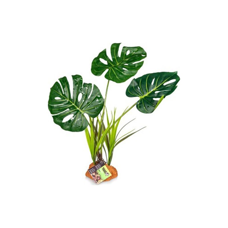 Plante 847 30X16X48CM