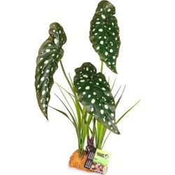 Plante 846 30X16X48CM