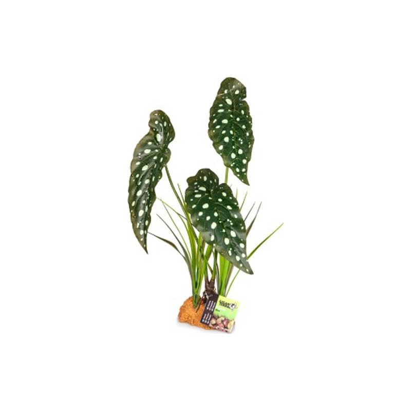 Plante 846 30X16X48CM