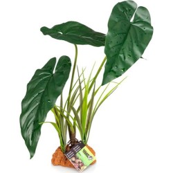 Plante 845 30X16X48CM