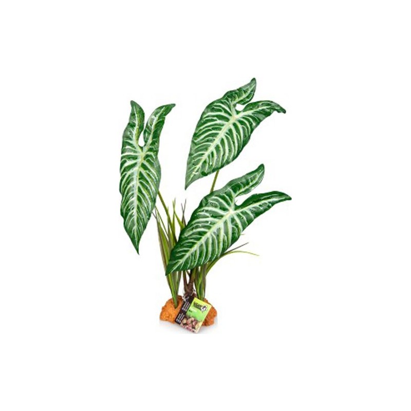 Plante 844 30X16X48CM