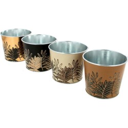 C.POT FEUILLE ASST 4 D11.5...