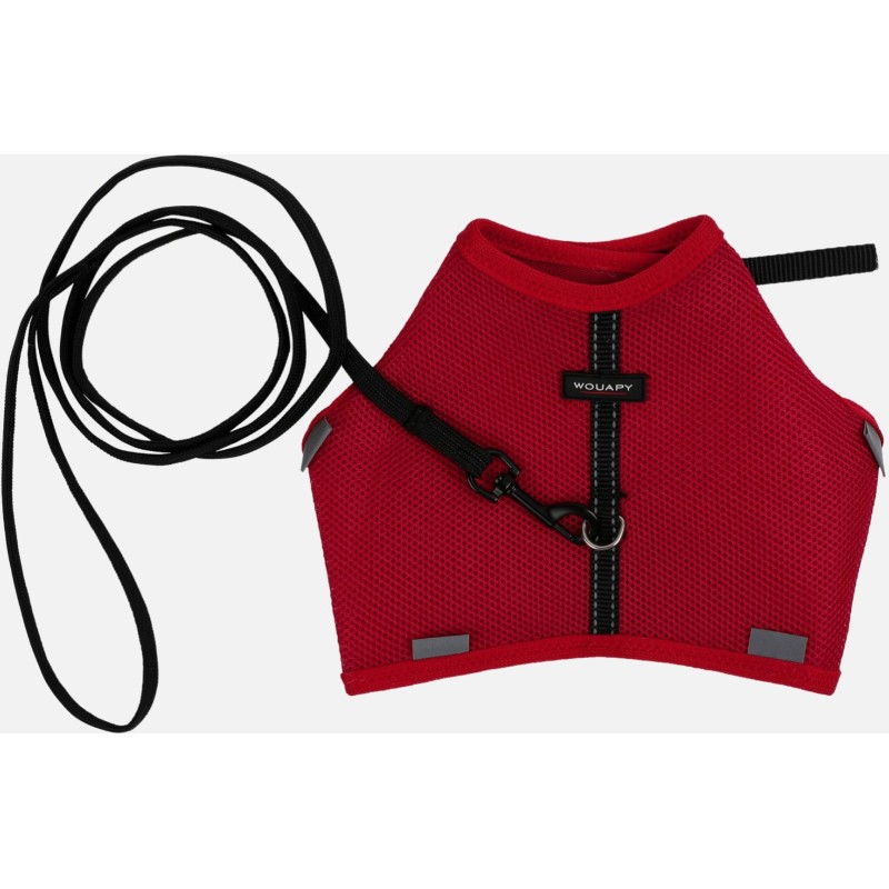 HARNAIS SOFT CHAT  + LAISSE 10*120 MM ROUGE