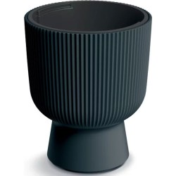 FLOWER POT MILLY -...