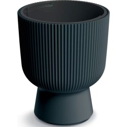 FLOWER POT MILLY -...