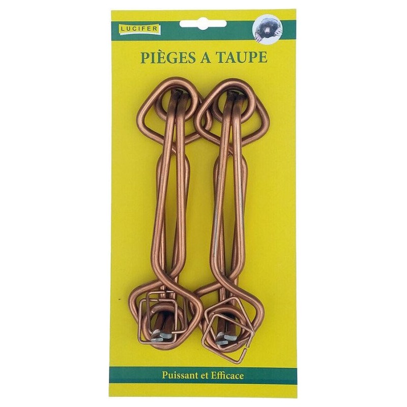 4 PIEGES A TAUPE PUTANGE + 1 CLE