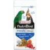 NUTRIBIRD TREATS GOLD PATEE FOREST FUSION 250G REMPLACE LE 424055