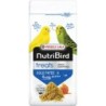 NUTRIBIRD TREATS GOLD PATEE HONEY FUSION 250G REMPLACE LE 424011