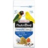 NUTRIBIRD TREATS FORTI PATEE 250G REMPLACE LE 424017