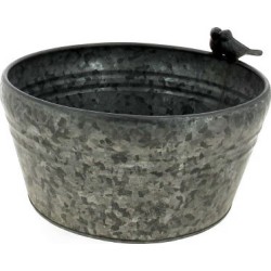 COUPE OISEAU NATUREL...