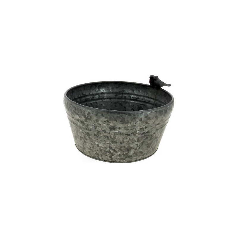 COUPE OISEAU NATUREL BLANCHI D23 H11CM