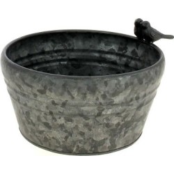 COUPE OISEAU NATUREL...