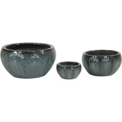 PORTLY BOWL FISHBONE MOSS...