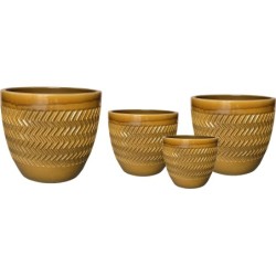 NOBLE EGG WAVES OCHRE S4...