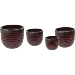 NOBLE EGG FACET OXBLOOD S4...