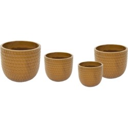 NOBLE EGG FACET OCHRE S4...