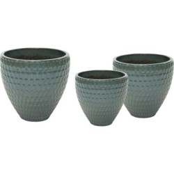 NOBLE BELLY FACET MOSS...