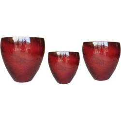 NOBLE BELLY OXBLOOD S3...