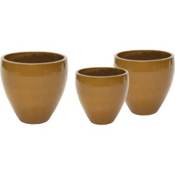 NOBLE BELLY OCHRE S3...