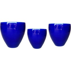 NOBLE BELLY COBALT BLUE S3...