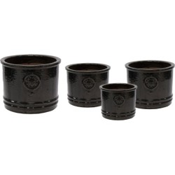 GLAZED BUMBLE BEE CYL SHINY...