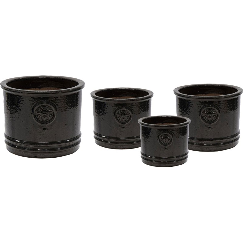 GLAZED BUMBLE BEE CYL SHINY BLACK S4 D20/38H14/32