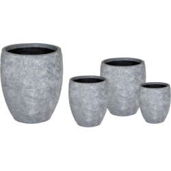 ARIZONA BULLETHIGH WASHED...