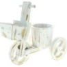 TRICYCLE BLANC 43*24H38 POT:D16H12
