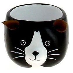 C.POT CHAT D7.5 H6CM