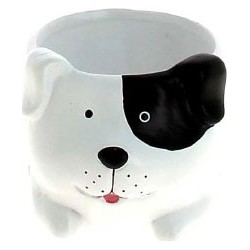 C.POT CHIEN D7.5 H6CM