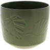 C.POT PALM VERT D20.5 H20.5CM