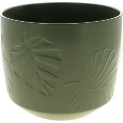 C.POT PALM VERT D18.5 H18CM