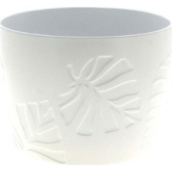 C.POT PALM BLANC D18.5 H18CM