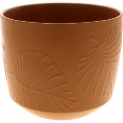 C.POT PALM TERRACOTTA D20.5...