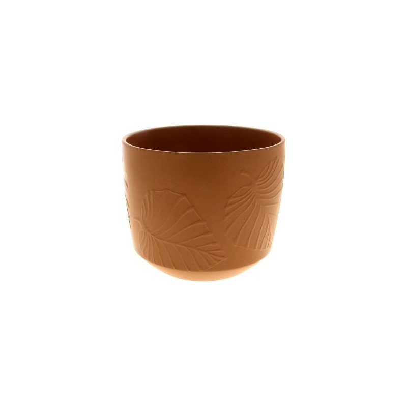 C.POT PALM TERRACOTTA D20.5 H20.5CM