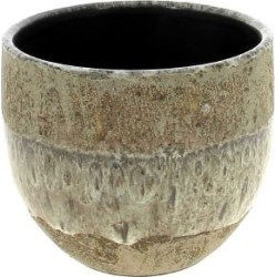 C.POT ORCHID12 TAUPE D14 H13CM