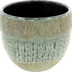 C.POT ORCHID12 VERT D14 H13CM