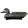 SF DECO  CANARD COLVERT FEMELLE 