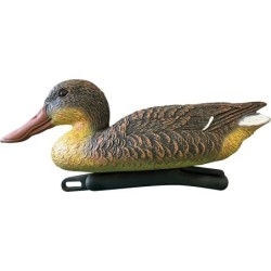 SF DECO  CANARD SOUCHET 