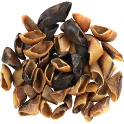 SABOT DE VACHE (VENDU par 50)