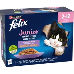 FELIX JUNIOR 12 X 85g